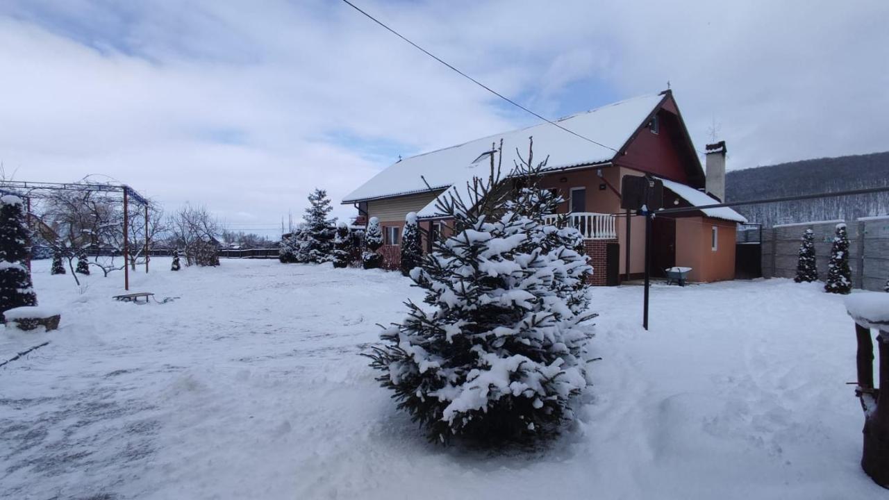 Casa Neagu Hotel Covasna Luaran gambar